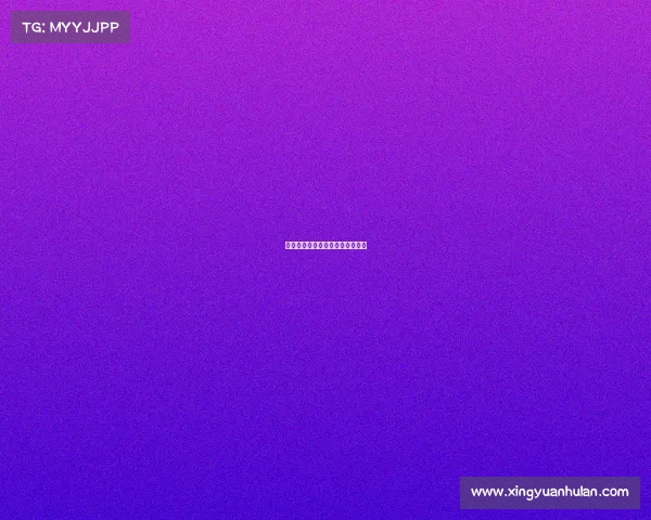 聚焦赛事费：全面解析与实用指南